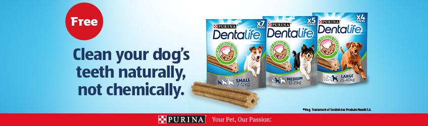 5000 free Dentalife to give away.